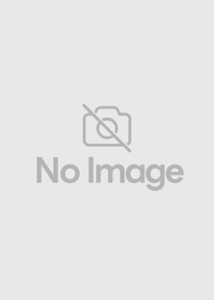 ここにタイトルが入ります（資料）